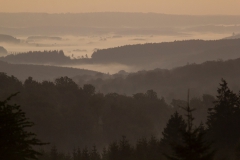 een deken van mist ligt over de Ardennen