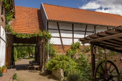 de hoeve, op het muurtje rechts kwam een steenmarter naar me toe gerend