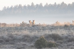 Zo jammer dat deze niet scherp is maar wat een ervaring!