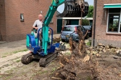 Theo heeft een wortelstronk opgevist