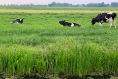 Gelukkig is er aan de achterkant geen bouwput