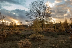 Drents-Friese Wold