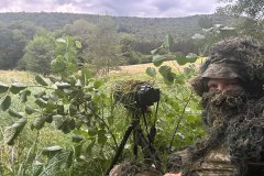 Ondanks de inspanning waren de edelherten niet onder de indruk