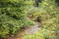 Beekloop bij Hoursinne