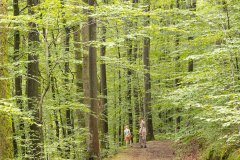 Wandelen met mama