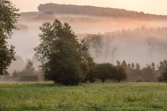 Mooie mist in het ochtengloren