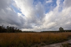 heide richting Vierhouten