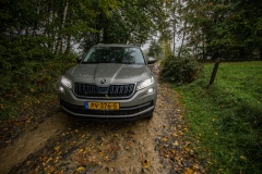 Ondertussen is de Fabia vervangen voor een Kodiaq