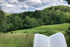 lekker op zondag een boek lezen midden in de natuur