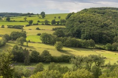 Tussen Mormont en Fanzel