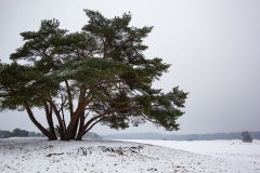 zandverstuiving bij Soestduinen