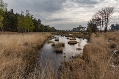 de vennen van de Kampinase Heide