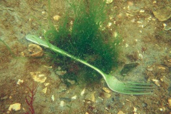 Een vork, waarschijnlijk is iemand zijn bootdiner in het water gevallen.