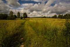 Białowieża, Polen