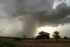 Dalli, Tânout, Zinder, Niger