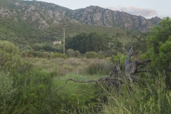 St. Florent, Corsica, Frankrijk