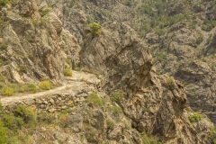 Santa Regina, Corscia, Corsica, Frankrijk