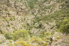 Santa Regina, Corscia, Corsica, Frankrijk