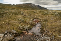 Kongsvoll, Oppdal, Noorwegen