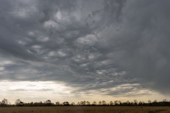 Op zondag trokken er ernome onweersbuien over de heide