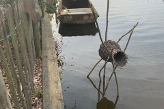 Broedkorf geplaatst bij onze steiger