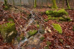 Dit landschap in de tuin lijkt me wel wat