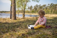 boterhammen eten met uitzicht op het ven