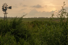 Frieslands landschap