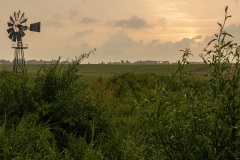 Frieslands landschap