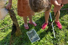 Met een net vingen we wat visjes