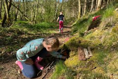 Een huis bouwen met alleen materiaal uit het bos