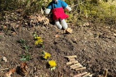 De muis had een boshuis nodig