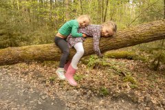 Ze deden een luiaard na