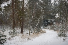 Landgoed de Laan, Veenendaal