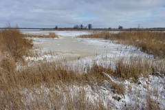 Nationaal Park Weerribben-Wieden