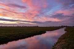 het uitzicht vanuit onze isolatietuin