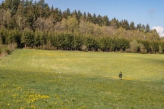 Heidi in de bergen