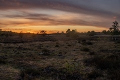 zonsondergang op de heide