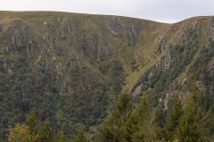 MG_0996-1044