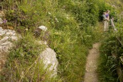 Mooie bloemrijke paadjes langs de kust bij Folkestone
