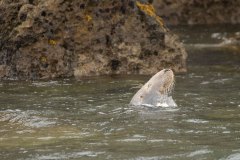 Lekker slapen in de regen