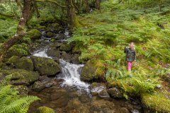 Spelen bij de beek achter ons huisje
