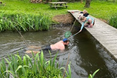 de grootste forel van de Ardennen