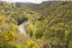 De Ourthe