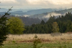 prachtige ochtenden waren het