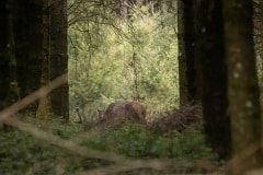 Helaas weigerde meneer even zijn kop omhoog te doen