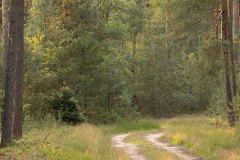 De stilte was ook mooi