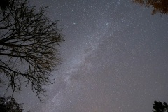 Melkweg boven de tuin met de Andromeda nevel erbij