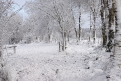 Winters landschapje