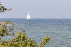 de Grevelingen